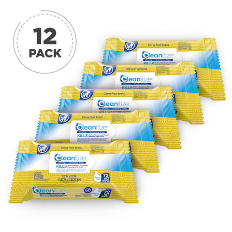 PPE Disinfectant Surface Wipes (Case of 12 Packs)